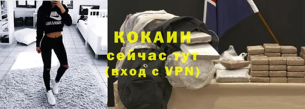 дживик Абаза