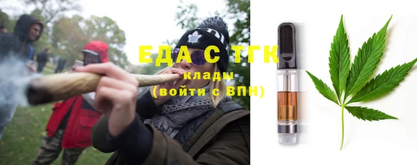 шишки Гусь-Хрустальный
