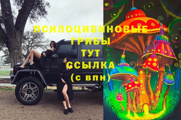 Альфа ПВП Гусев