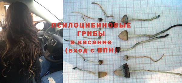 дживик Абаза