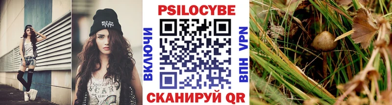 купить  сайты  Новомичуринск  ссылка на мегу ссылки  Галлюциногенные грибы GOLDEN TEACHER 